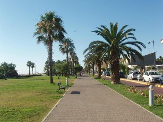 La Conchiglia Apartment Porto Sant'Elpidio Exterior photo
